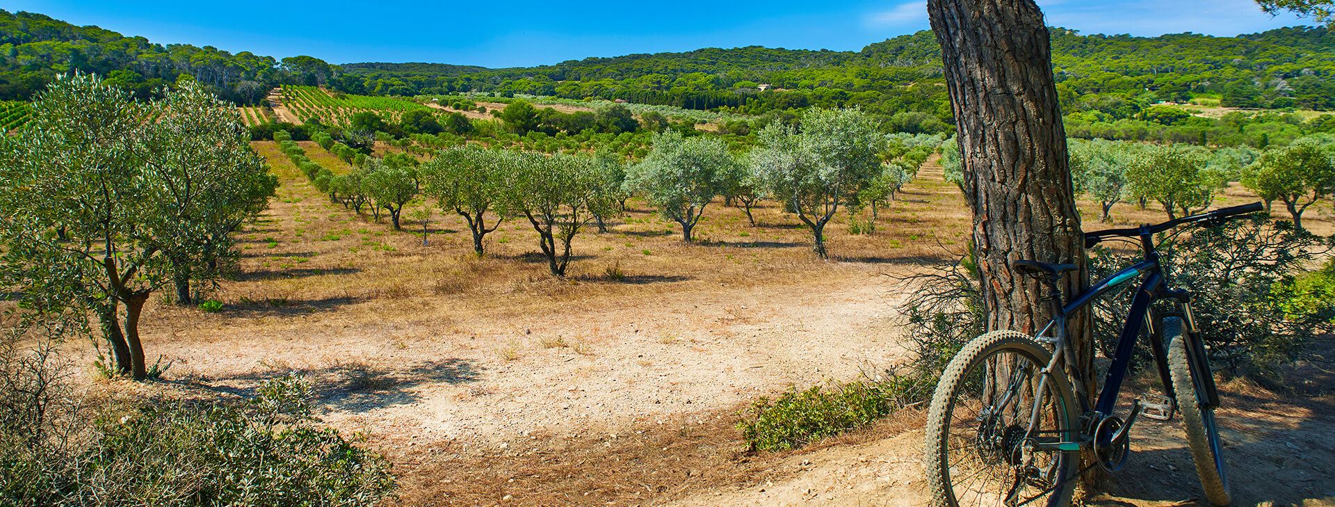 Cap du Roc campsite in Aude is less than 5 km from a signposted cycle route