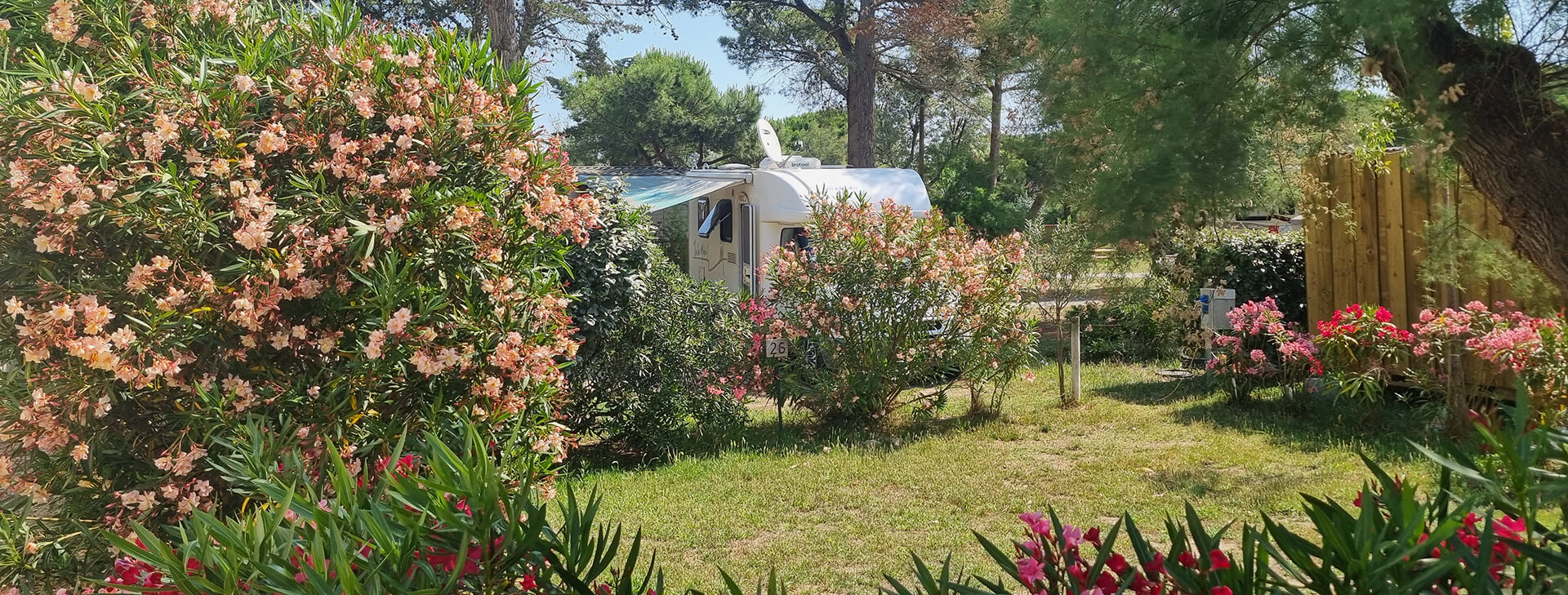 Your campsite in Aude nestled in a peaceful natural setting: Cap du Roc campsite