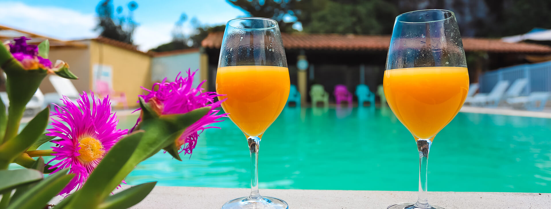 Het zwembad van camping Cap du Roc in de Aude, ideaal om af te koelen en te ontspannen bij het water op warme zomerdagen