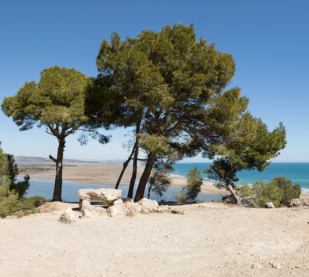 Der Campingplatz Cap du Roc, liegt nur 2600 m von den Stränden entfernt, in dem Departement Aude