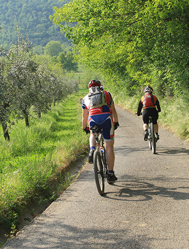 Paseo en bicicleta por Port-la-Nouvelle